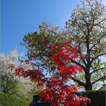 Southwest 3 With Aircon & Free Parking Daire *