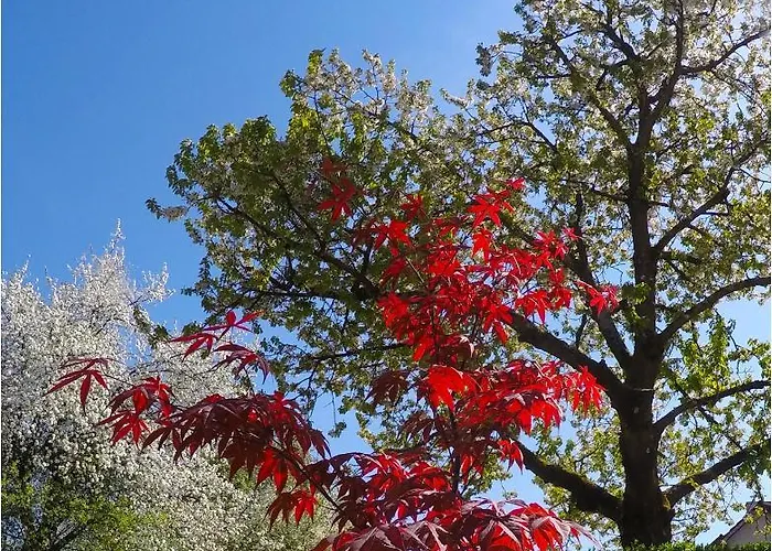 Southwest 3 With Aircon & Free Parking Daire *